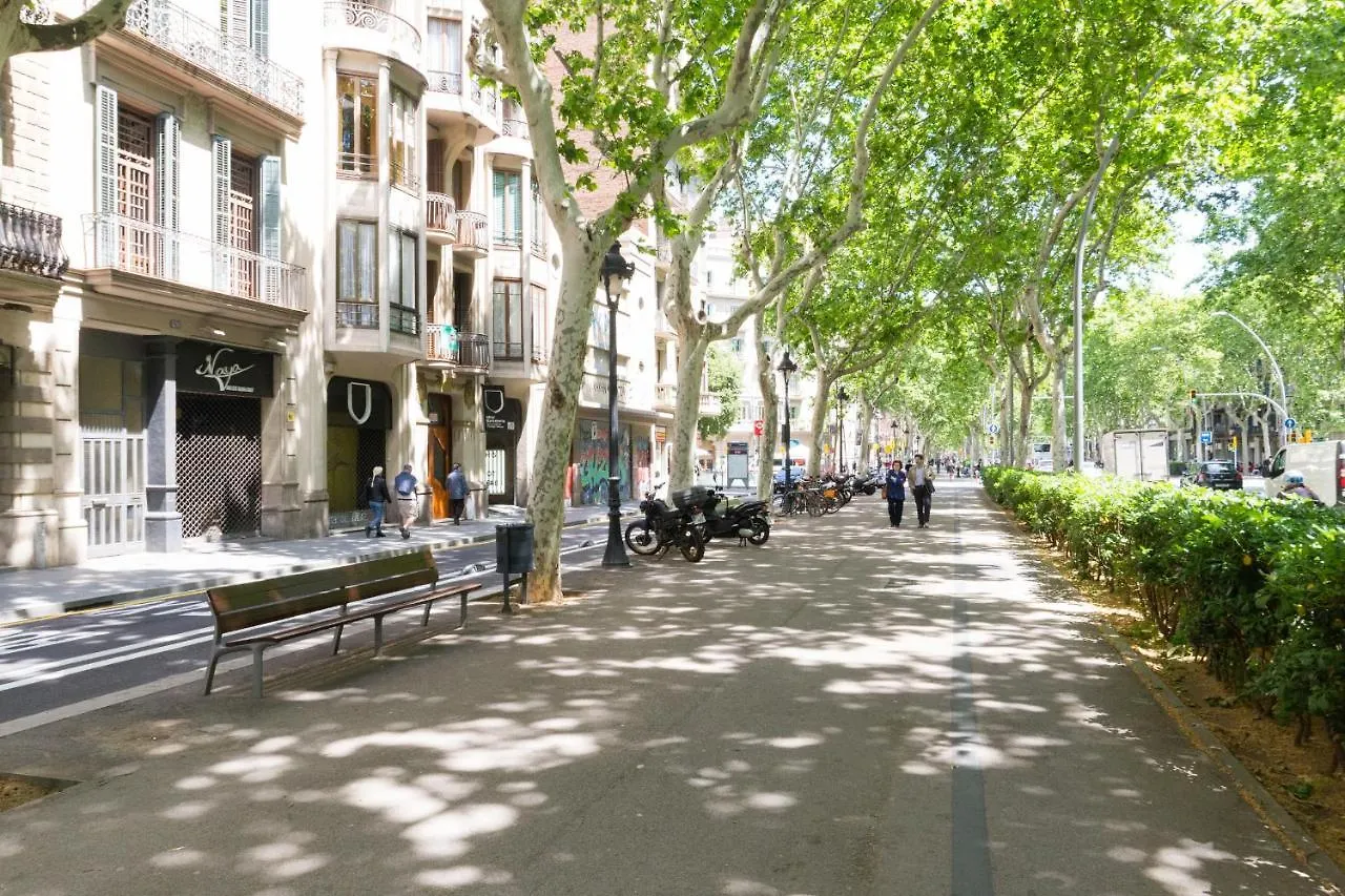 Montaber Apartment - Gran Via - Rocafort Barcelona 0*,  Spain